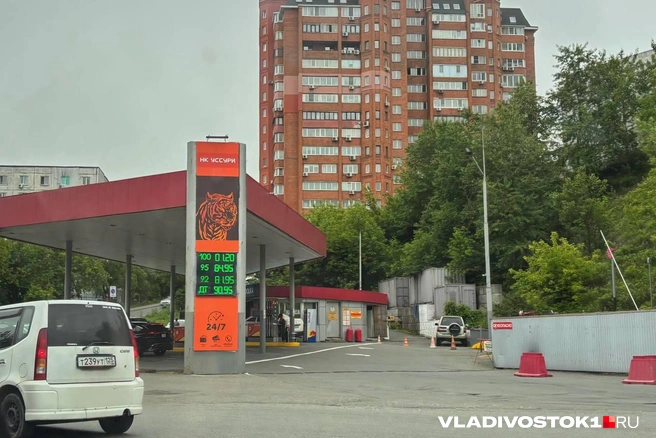 Источник: Елена Буйвол / VLADIVOSTOK1.RU