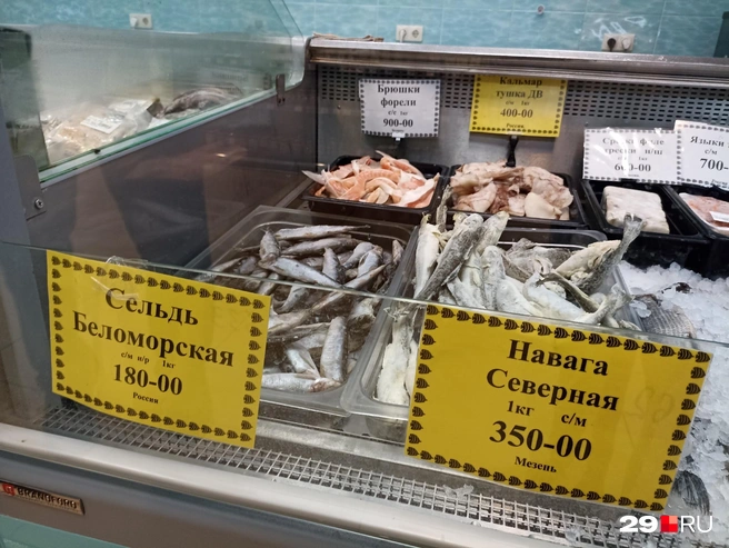 Источник: Иван Митюшёв / 29.RU