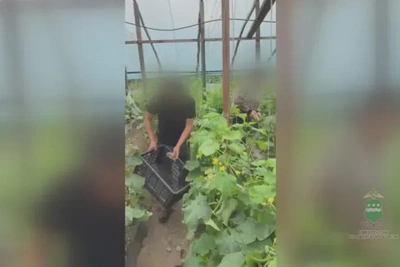Восемь мигрантов выдворили из Приамурья после рейда