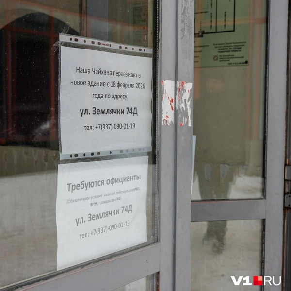 Источник: Алексей Волхонский / V1.RU