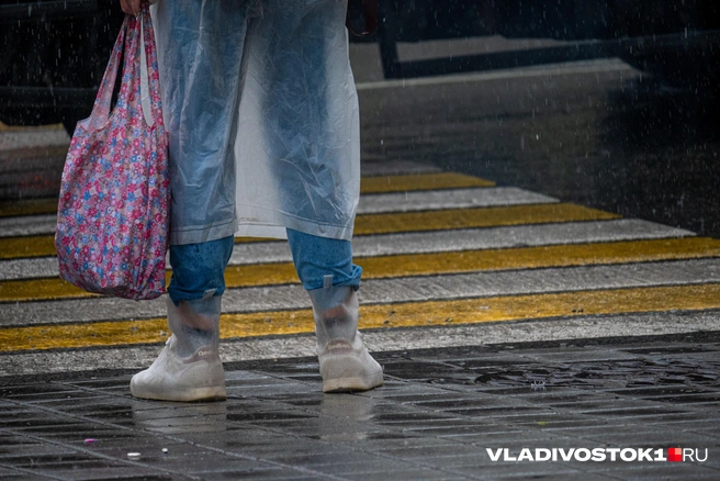 12 июня лучше не выходить из дома без зонта | Источник: Елена Буйвол / VLADIVOSTOK1.RU