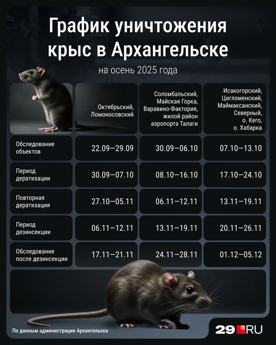 Источник: Мария Романова 