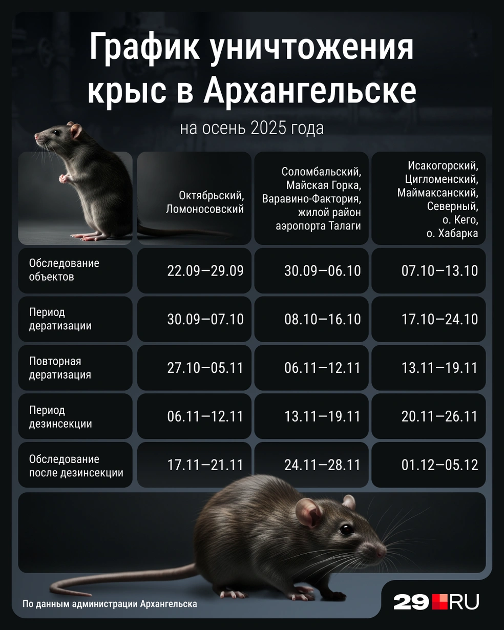 Источник: Мария Романова 