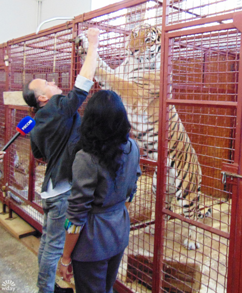 Цирк Гии Эрадзе Баронеты