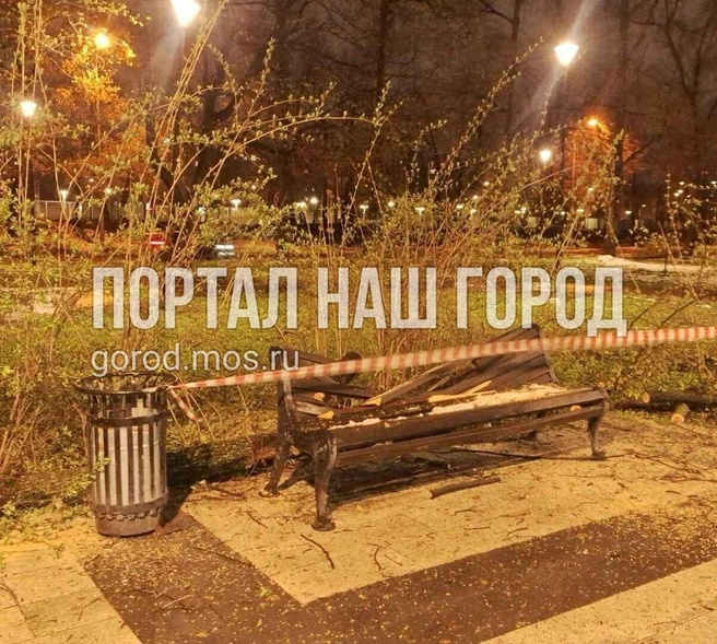 Охранные мероприятия надежны | Источник: gorod.mos.ru