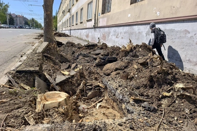 В центре Уфы спилили деревья и бросили ветки