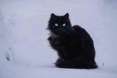 В Иркутске на Пасху ожидается холод и ветер