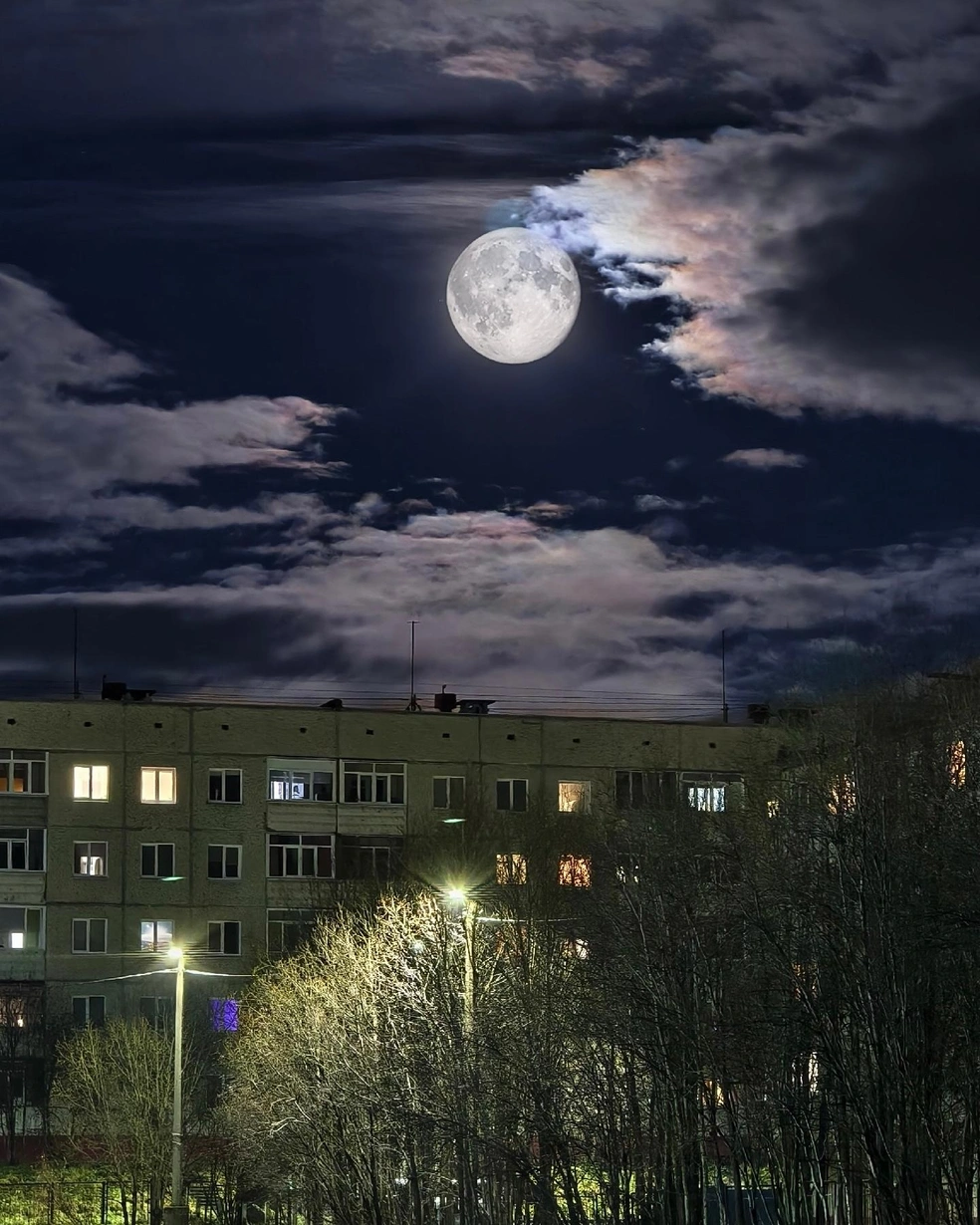 Источник: Анна Сельевич-Лебедева