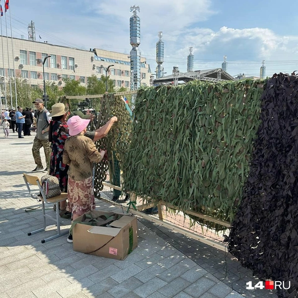 Выставка «Боевых шелкопрядов Якутии» | Источник: Илья Константинов / 14.RU