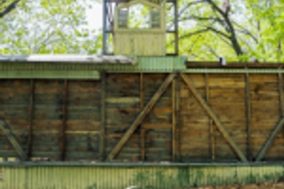 Суд вернул часть земли лагеря «Космос» государству