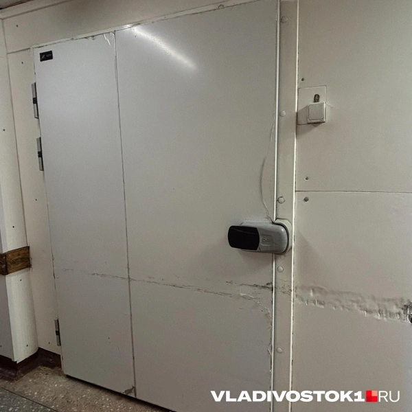 Источник: Елена Буйвол / VLADIVOSTOK1.RU