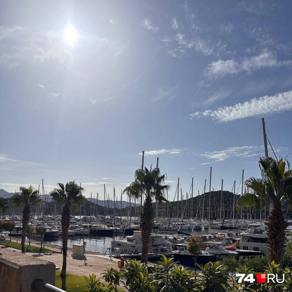 Источник: Наталия Колмогорова