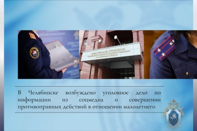 В Челябинске завели дело после нападения на ребенка