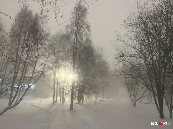 Источник: Александра Балаба / 51.RU