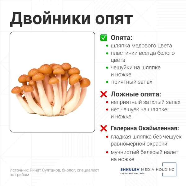 Источник: Серафима Пантыкина / Городские порталы