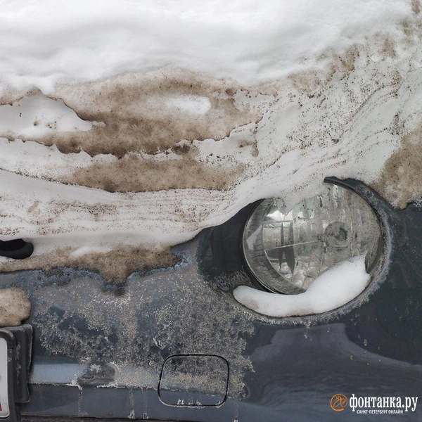 Источник: Михаил Огнев / FONTANKA.RU