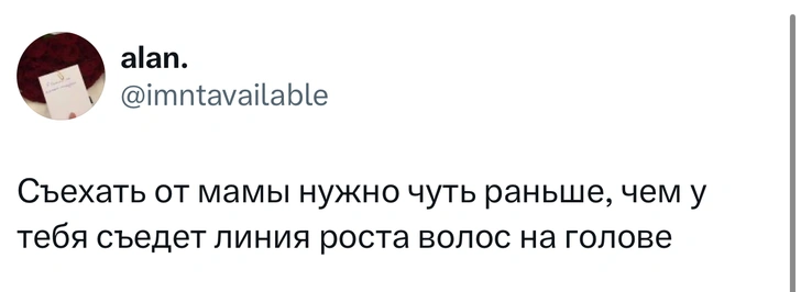 Источник: X (Twitter)