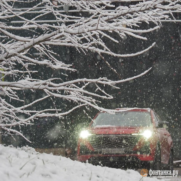 Источник: Михаил Огнев / FONTANKA.RU 