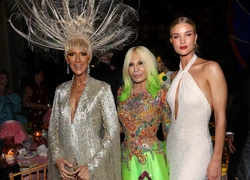 Необычная тема и Мэрил Стрип в оргкомитете: что известно о Met Gala 2020