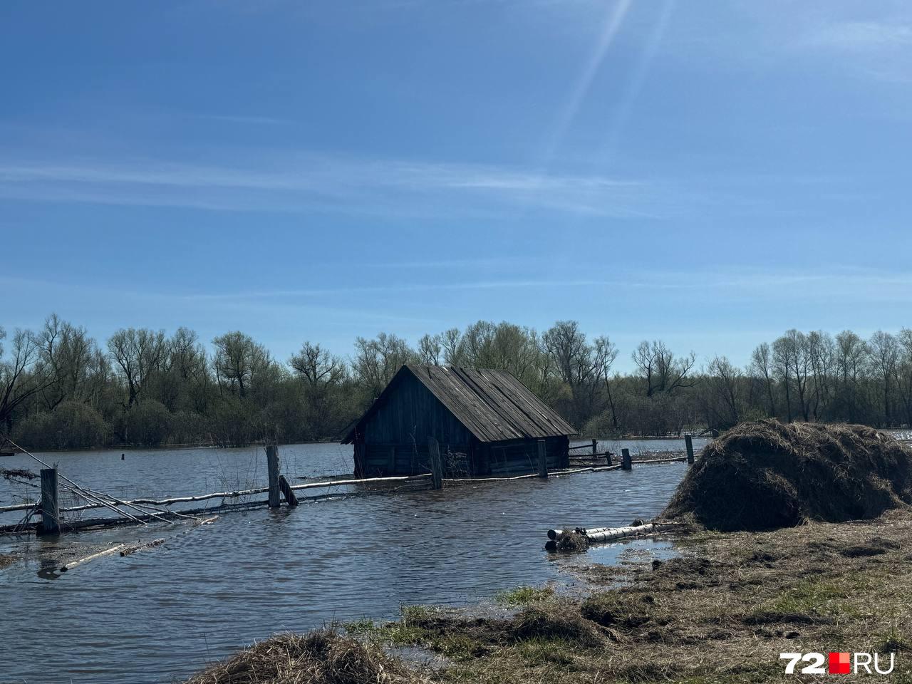 В МЧС предупредили о риске наводнения в Тюменской области. В чем причина? 