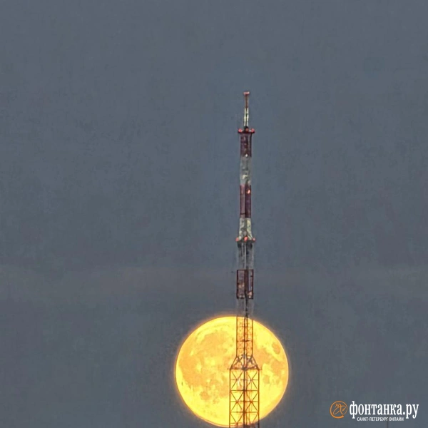 Источник: читатель «Фонтанки»