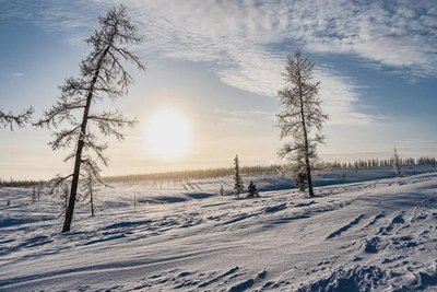 Штормовое предупреждение объявлено в Ямало-Ненецком округе