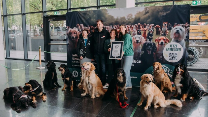 Собакам и их хозяевам пришлось непросто, но они справились  | Источник: guinnessworldrecords.com