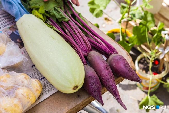 При выборе сортов и гибридов стоит ориентироваться на свой вкус и желаемый цвет плода | Источник: Ольга Бурлакова / NGS.RU
