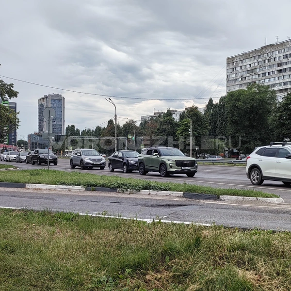 Источник: Андрей Пашинский / Voronezh1.ru