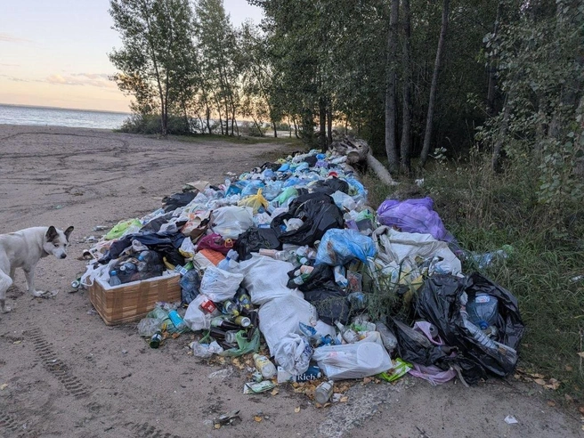 Но с теми завалами мусора, которые здесь скопились, контейнеры вряд ли справятся — здесь нужны КамАЗы, и, возможно, не один | Источник: Елизавета Бражник