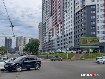 Такой вот «монстр» вырос | Источник: Булат Салихов / UFA1.RU