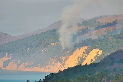 Лесной пожар вспыхнул под Геленджиком