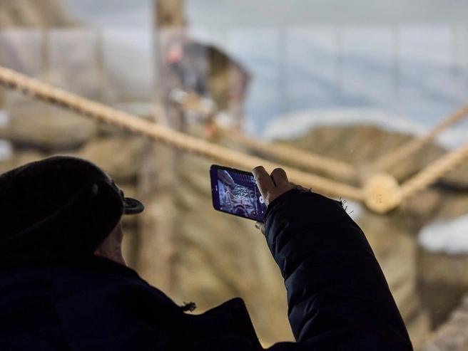 Посетители активно фотографируют животных | Источник: Фото: Александр Ощепков / NGS.RU