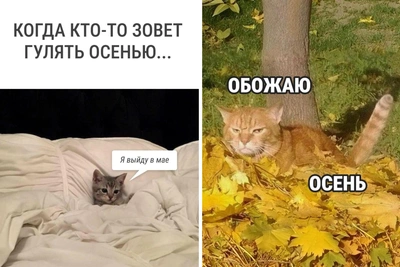 10+ мемов про осень для отличного настроения
