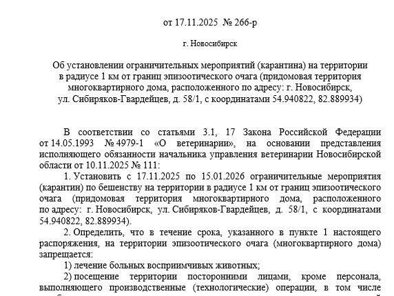 Документ опубликован на сайте правительства области | Источник: nso.ru