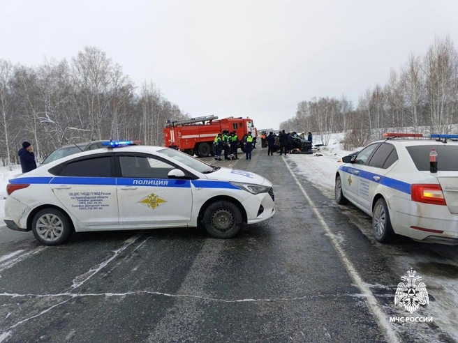 На место выехали сотрудники полиции и МЧС | Источник: ГУ МВД по НСО