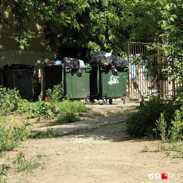 Источник: Василина Любимова / 59.RU