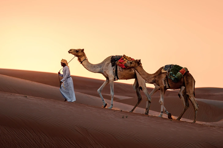 Источник: Subash Rajesh / Shutterstock.com