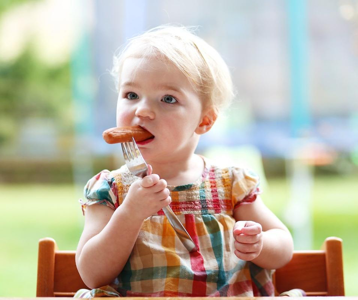Когда и как вводить в рацион ребенка мясные продукты