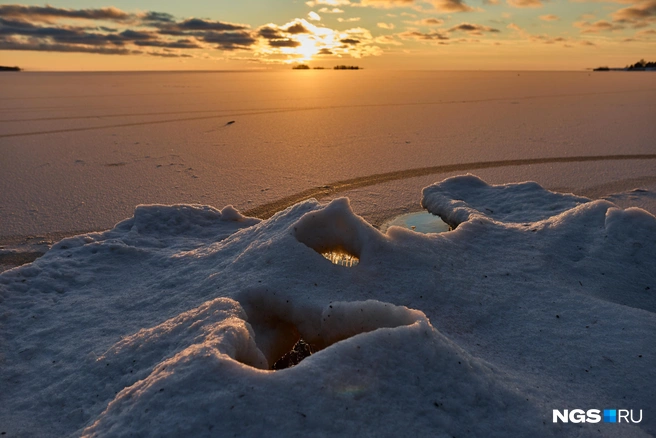 Источник: Александр Ощепков / NGS.RU
