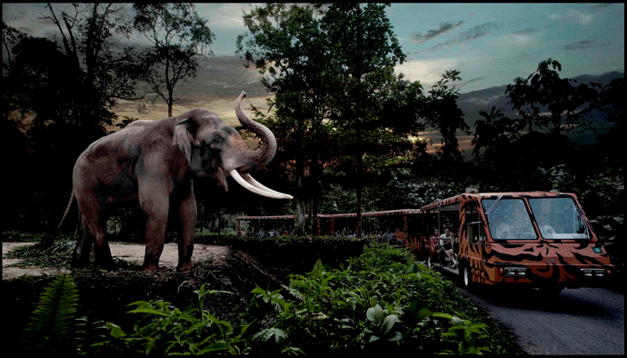 Зоопарк «Ночное сафари», Сингапур 