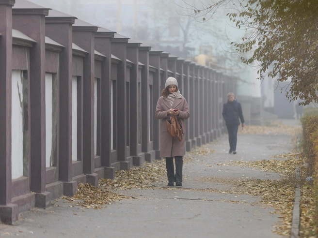 Верите ли вы, что причиной неприятного запаха на улицах стал туман? | Источник: Алексей Волхонский / V1.RU