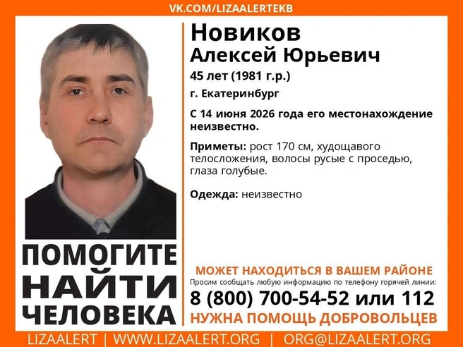 Алексея Новикова ищут пятый день | Источник: «ЛизаАлерт»