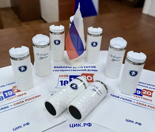 Источник: Избирательная комиссия Челябинской области