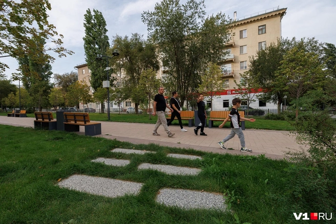 Отдельные плиты дорожек проложены, чтобы не топтать газон понапрасну | Источник: Алексей Волхонский / V1.RU