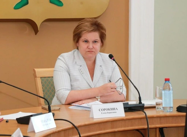 Сорокина поручила провести проверку из-за вскрытия нового асфальта на улице Новоселов | ya62.ru