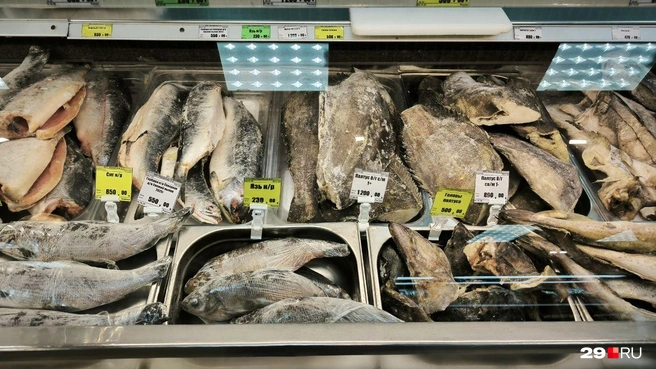 Мороженная рыба: сиг — 850 руб. за кг, горбуша — 550 руб., язь — 230 руб., палтус — 890-1200 руб. | Источник: Юрий Скородумов
