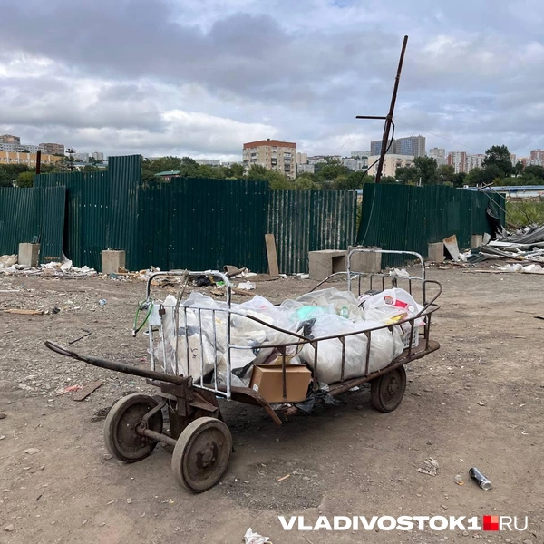 Источник: Максим Протасов / VLADIVOSTOK1.RU