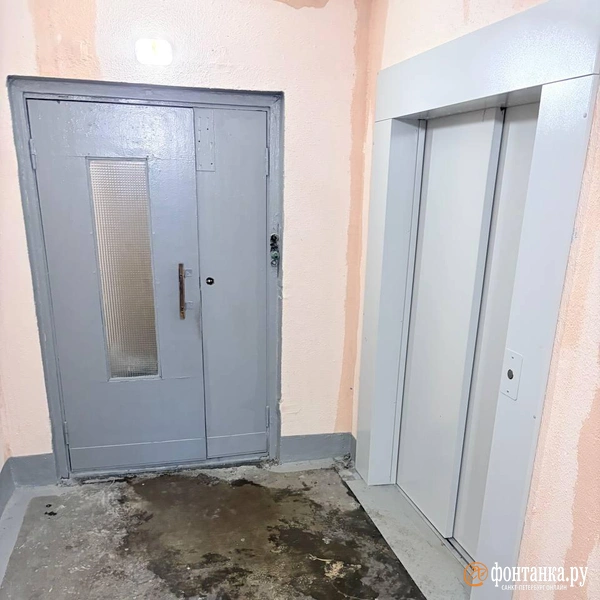 Источник: читатель «Фонтанки» Владимир