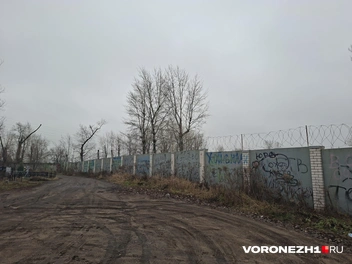 …или вдоль забора&nbsp;— не заблудитесь | Источник: Алёна Воропаева / Voronezh1.ru